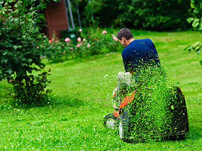 Landscape Maintenance Matawan, NJ