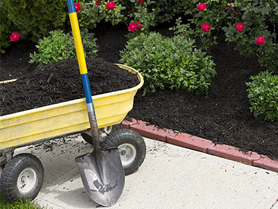 Landscape Maintenance Matawan, NJ